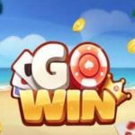Gowin789