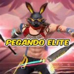 Elite BlassFire