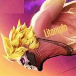 Litomplo
