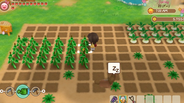 STORY OF SEASONS screenshot 3