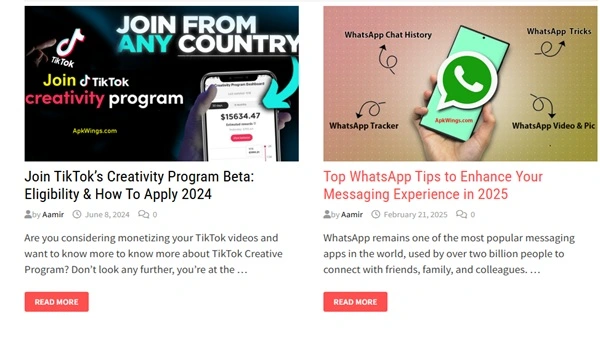 APK Wings screenshot 1