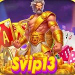 Svip13