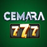 Cemara777