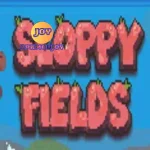 Sloppy Fields