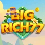 BIGRICH77