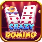 Crazy Domino