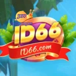 ID66