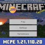 Minecraft 1.21.110.20
