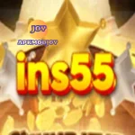 INS55