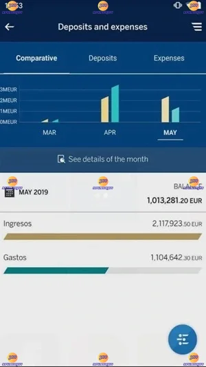 Net Cash 2.3 screenshot 3