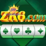 ZK6