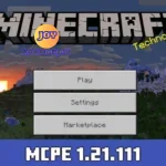 Minecraft 1.21.111