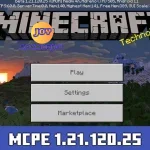 Minecraft 1.21.120.25