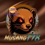 Musang178