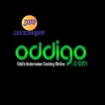 ODDIGO