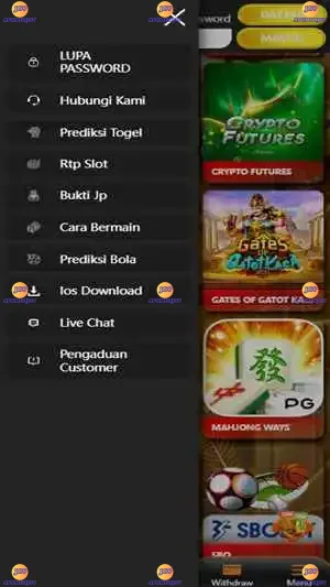 FATCAI99 screenshot 3