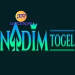 Nadimtogel