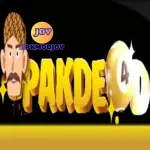 Pakde4D
