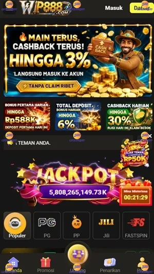 WP888 screenshot 2